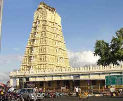 Tour Package In South India