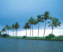 Tour To South India