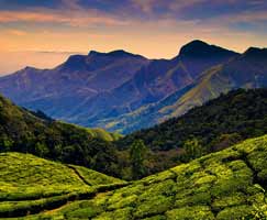 Tour Package South India